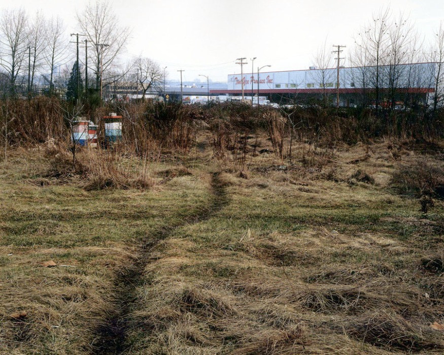 Jeff Wall, 'The Crooked Path'